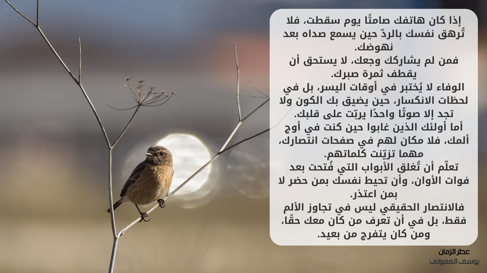 تمييز الصادقين من العابرين في حياتك